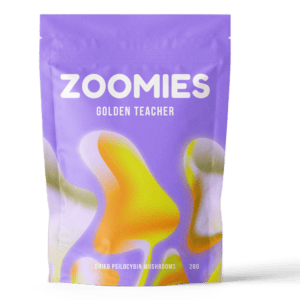 Golden Teacher | Shroomland Canada