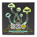 Room 920 - Mushroom Chocolate Bar - Dark Chocolate Mint - 3 grams | Shroomland Canada