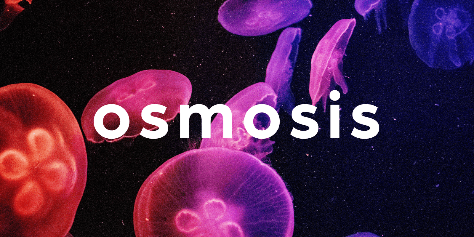 Zoomies osmosis banner | Shroomland Canada