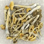 Trinity | Shroomland Canada