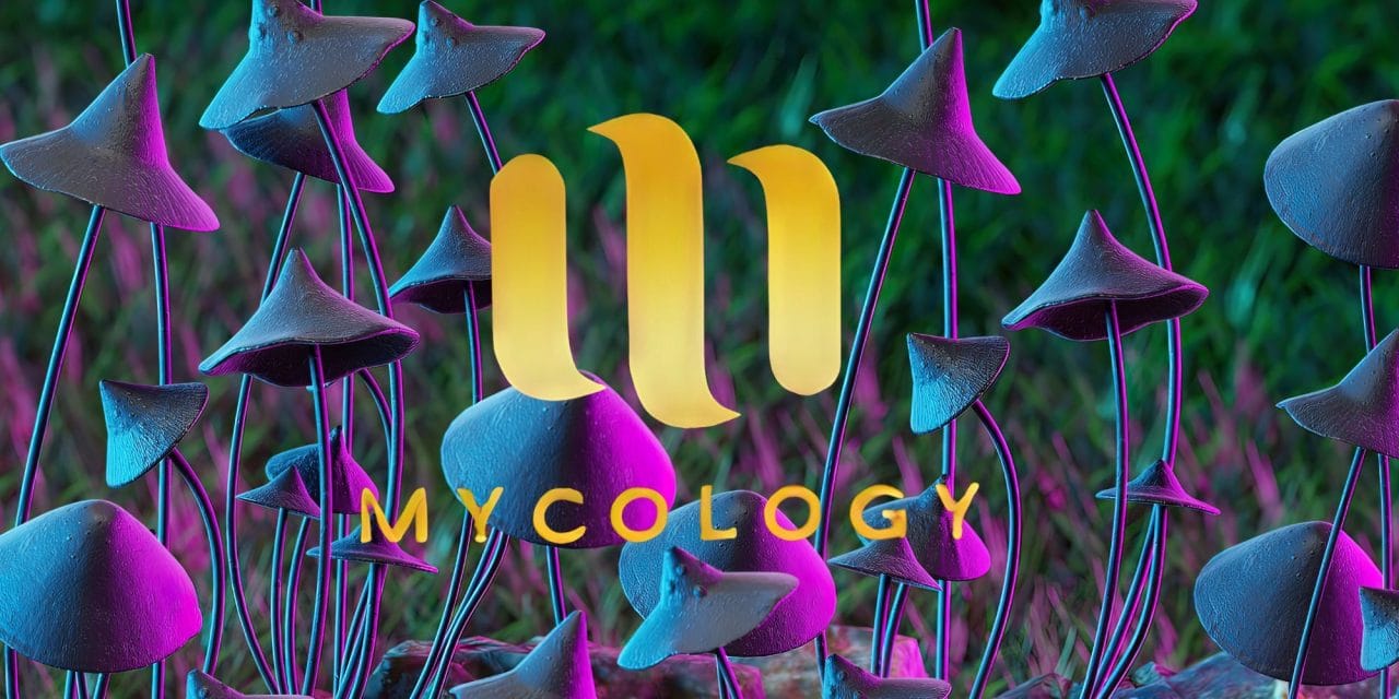 Zoomies Summer 2023 Banner - Mycology | Shroomland Canada