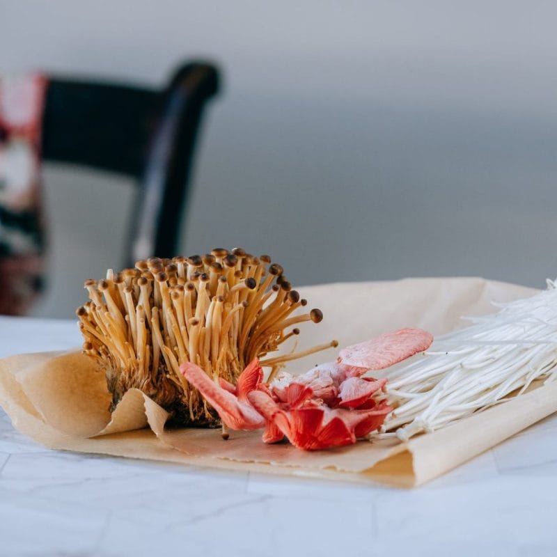 Buy Shrooms Online Canada (1) | Shroomland Canada