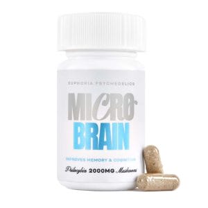 Euphoria Psychedelics – Micro Brain Capsules - (100mg X 20 Capsules) | Shroomland Canada