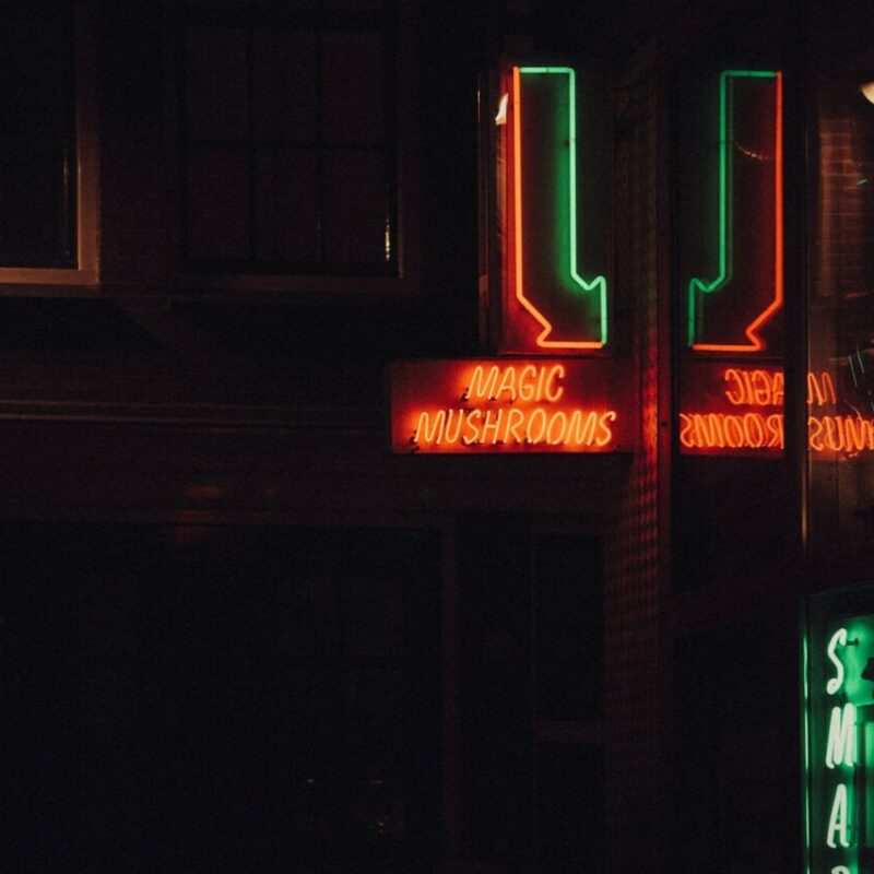 Mushroom Dispensary Vancouver | Shroomland Canada