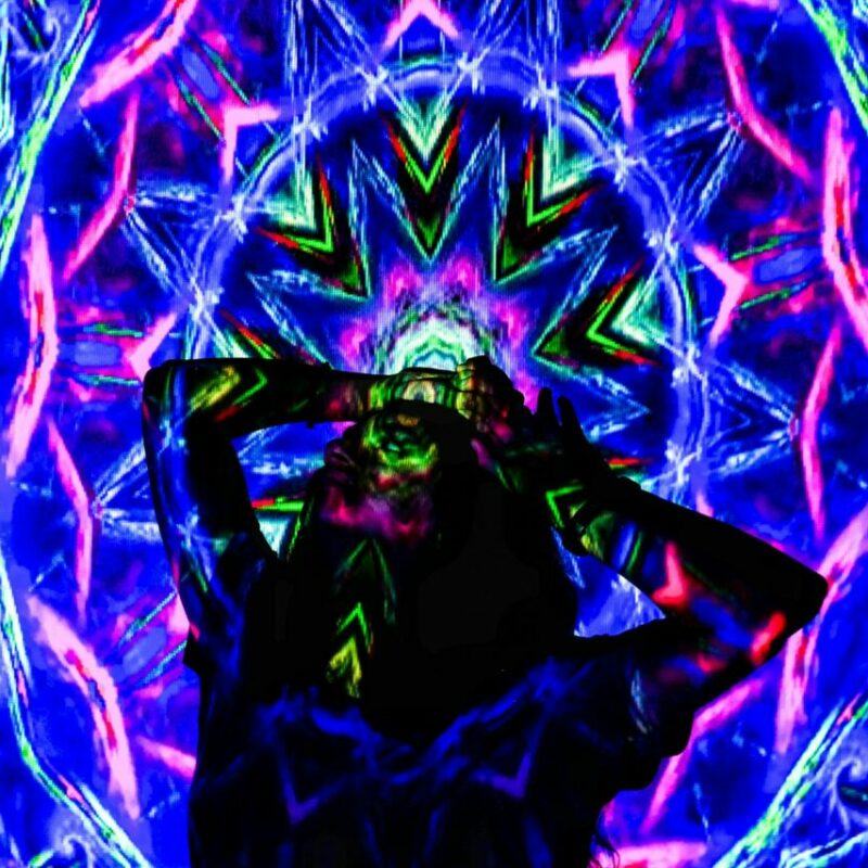 Shrooms Online | Shroomland Canada